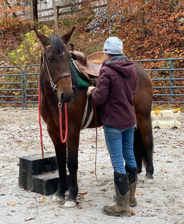 Mary with saddle training